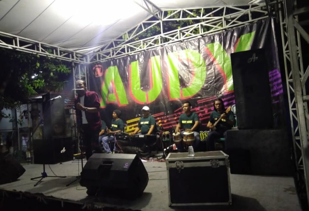 AUDY ELECTONE